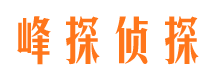 高邮市私家侦探